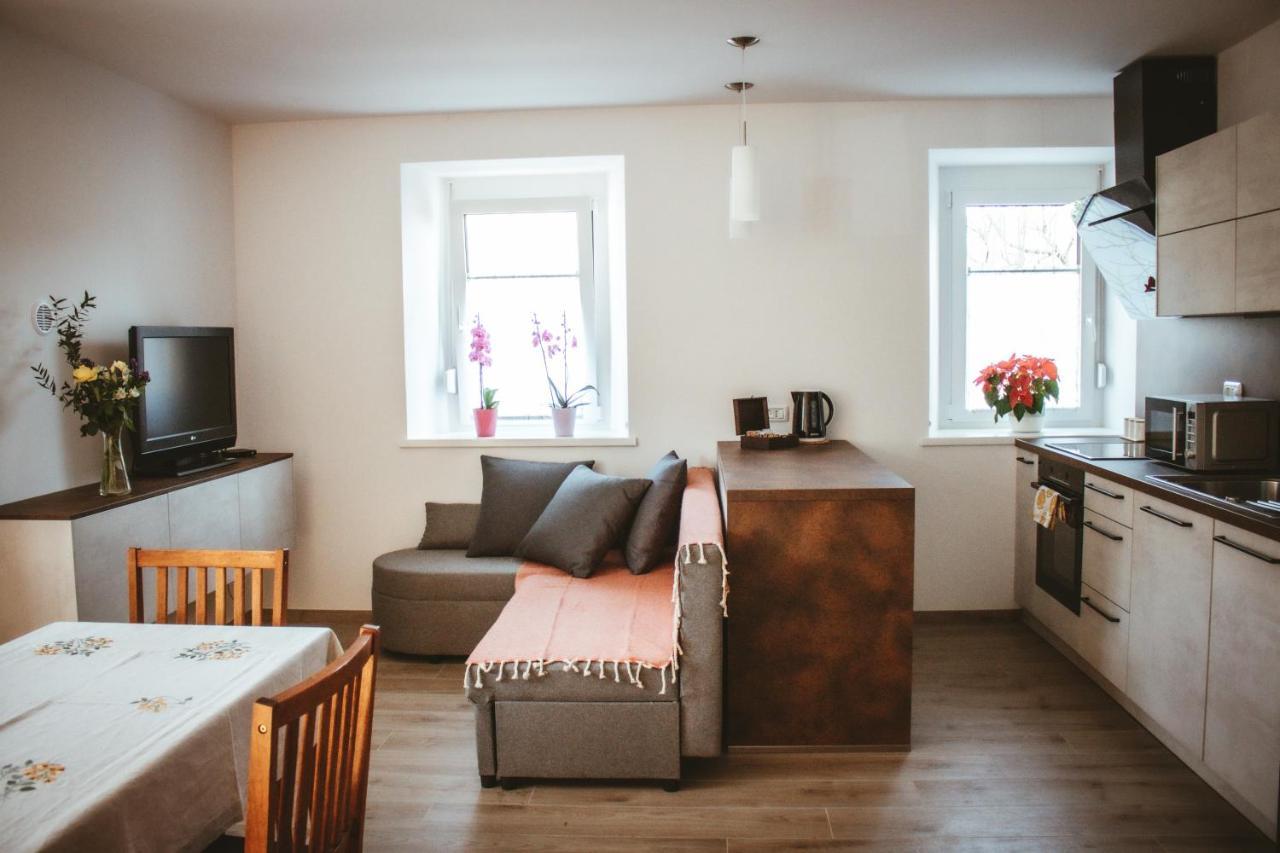 Apartma Moser Podnanos Bagian luar foto