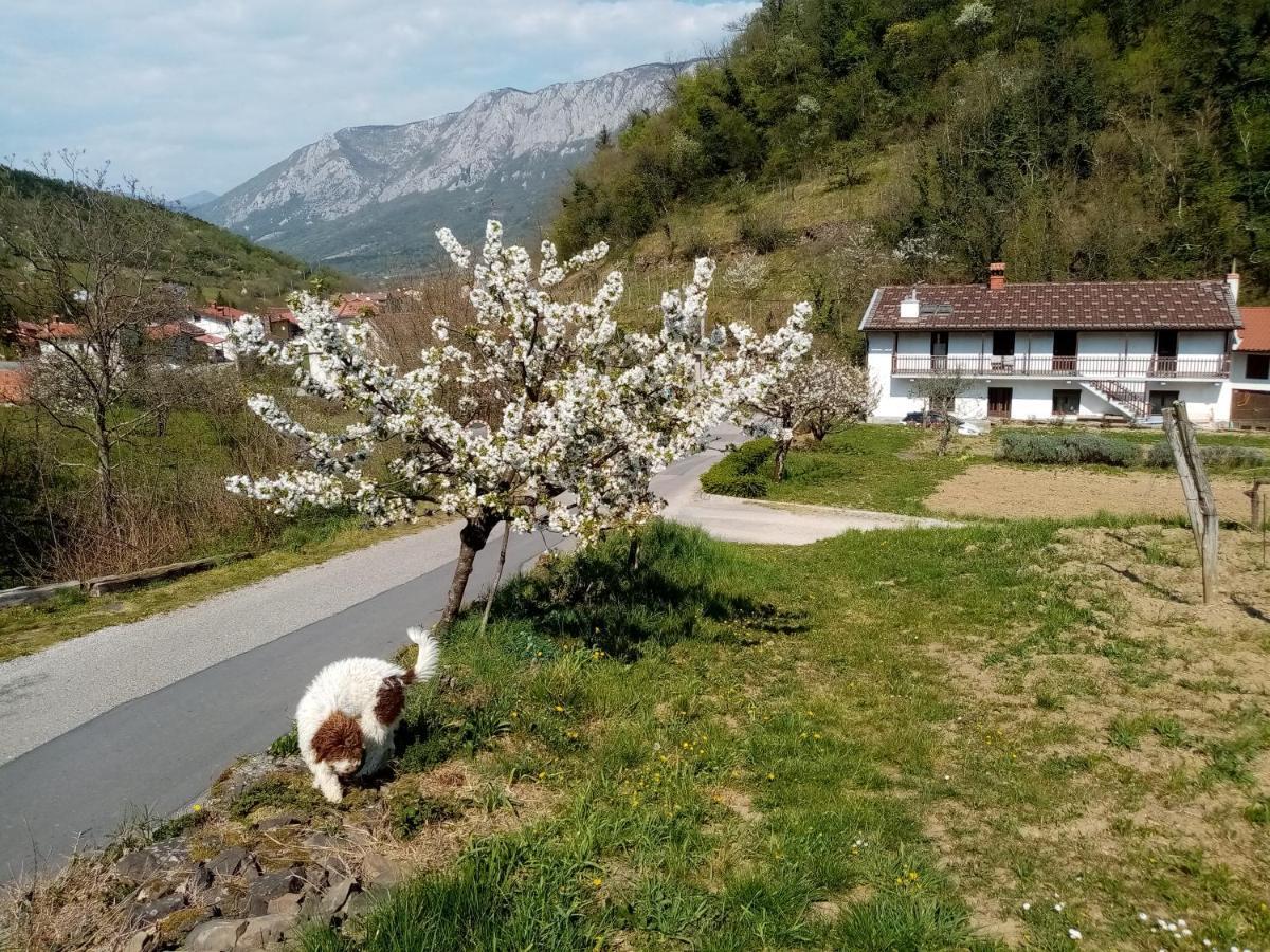 Apartma Moser Podnanos Bagian luar foto