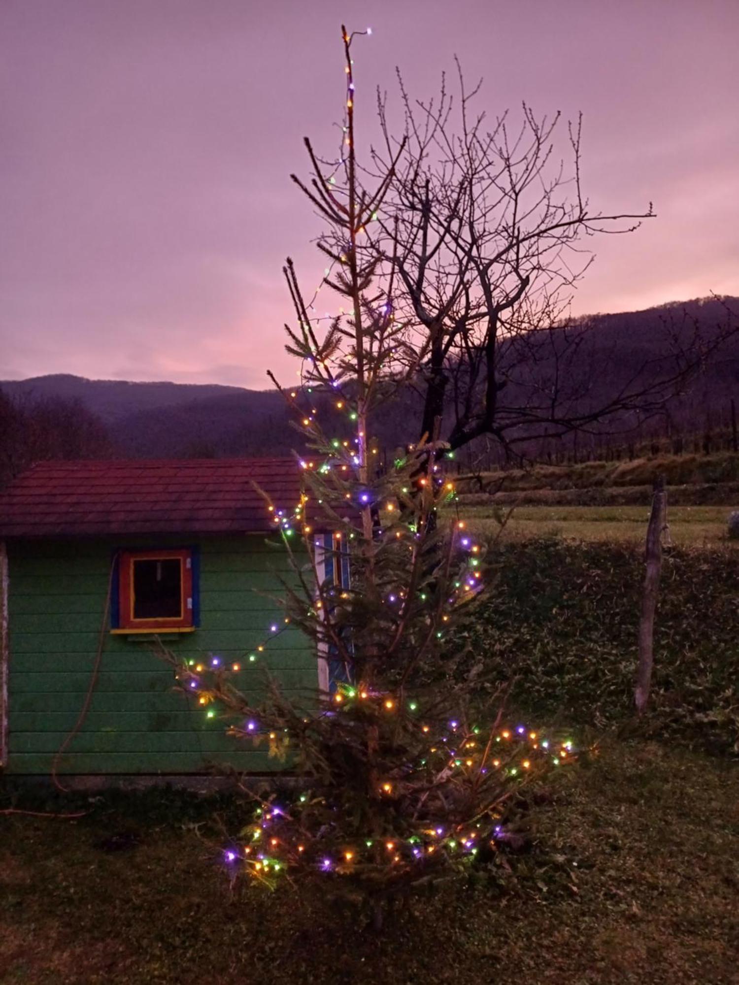 Apartma Moser Podnanos Bagian luar foto